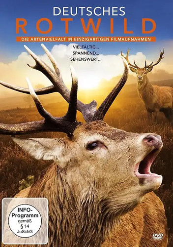 Deutsches rotwild - deutsches,