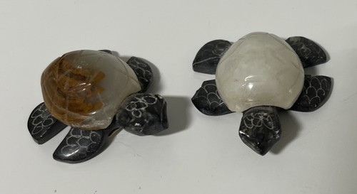 Marmor schildkröte - 2,