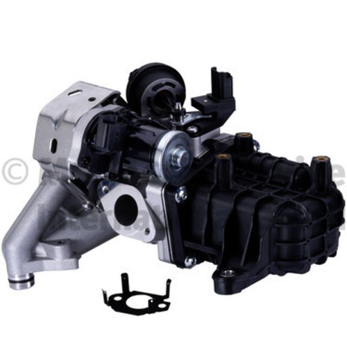 Agr modul pierburg - agr-modul,