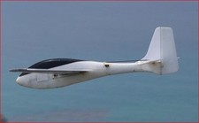 "LeFish" Kunstflugsegler