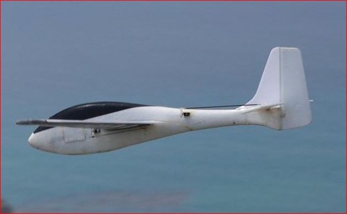 Lefish kunstflugsegler - "lefish",