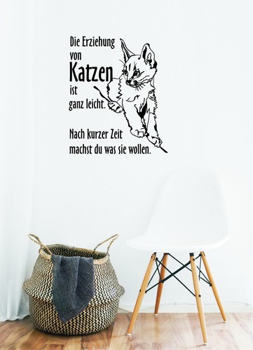 Die erziehung von katzen ist - erziehung,