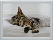 Knietablett laptray laptop