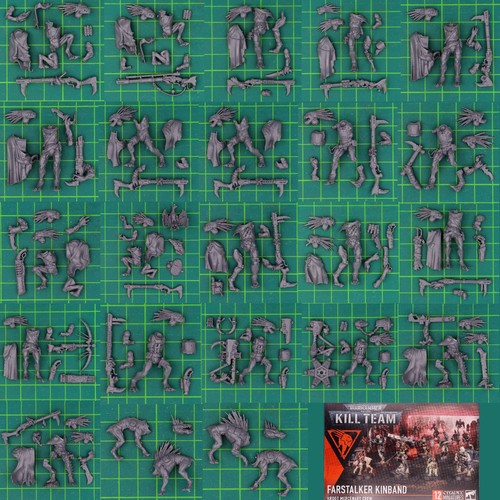 Kill team kroot - team,