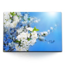 120x80cm Wandbild auf Leinwand