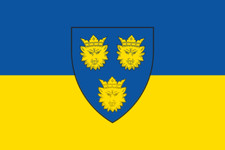 Fahne Flagge Dalmatien 20 x 30