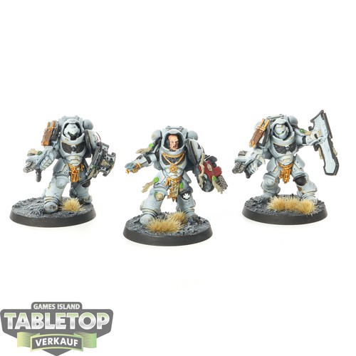 Space wolves 3x aggressor - wolves,