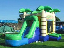 Profi Hüpfburg Palmen-Rutsche