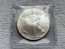1 Unze / Oz Silber 2010 American Silver Eagle  USA in Münztasche