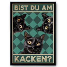 Bist du am Kacken? Katzen