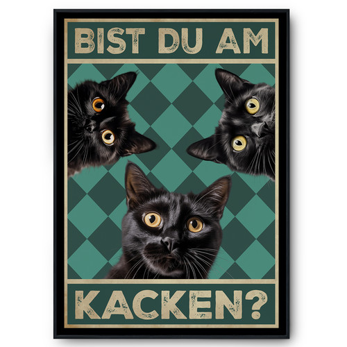 Bist kacken katzen - du, am