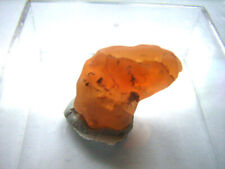 FEUEROPAL aus Mexiko