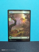 FOIL FULLART Wald / Forest -