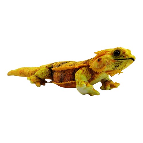 Bartagame kuscheltier eidechse - bartagame,