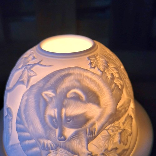 Waschbär racoon figur - racoon,
