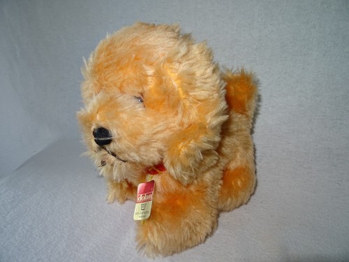 Alter hund spaniel - hund, dolan