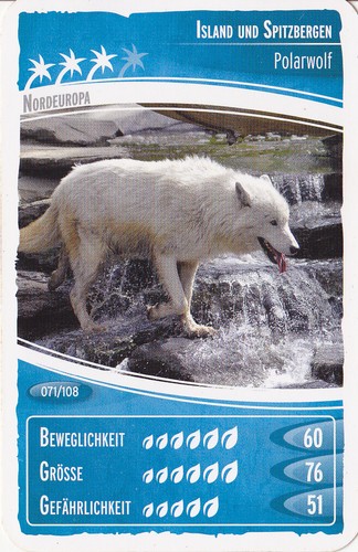 Netto ozeanien - ,