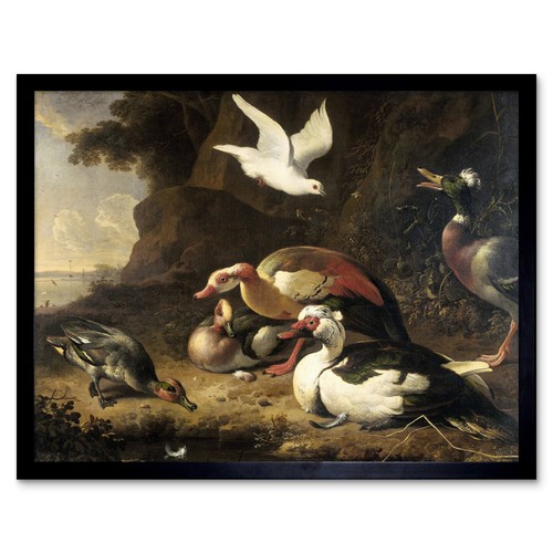 Melchior dhondecoeter enten - melchior,