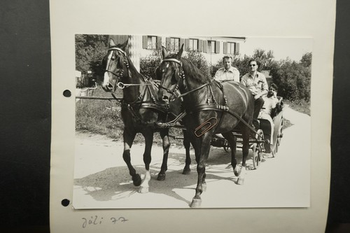 Foto bayern pferdekutsche - foto,