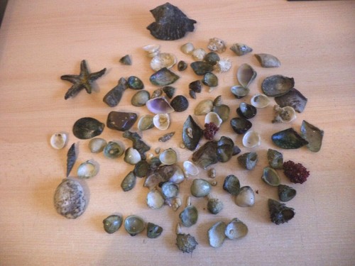 Grosses set riffaquarium - grosses,