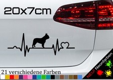 Französische bulldogge - französische,