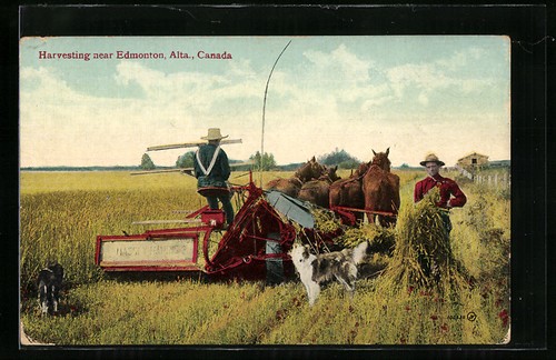 Edmonton alta harvesting - ak,