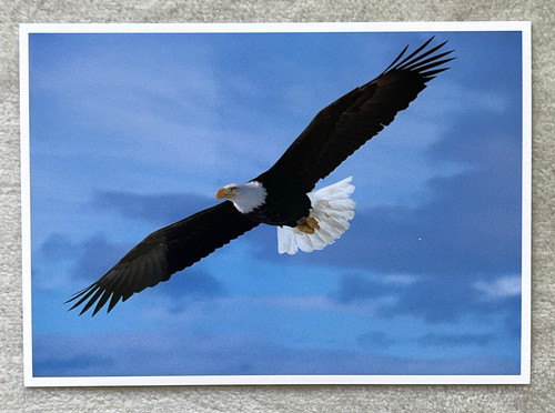 Postkarte amerikanischer - 1,