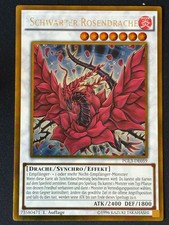 Schwarzer Rosendrache