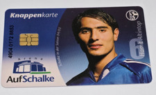  Knappenkarten  Schalke 04   Hamit  Altintop