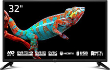 DYON Enter 32 Pro X2 (2024) 80