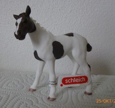 Pinto Fohlen Neu Schleich