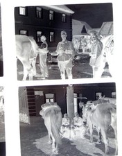 Negativfilm 2. WK Soldaten
