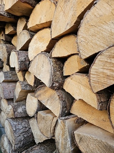 Kaminholz feuerholz erle 20kg - kaminholz,