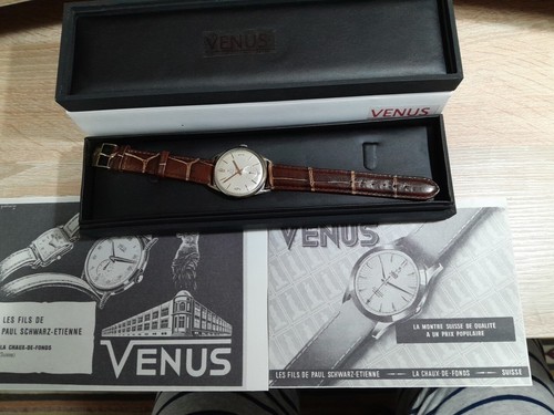 1950 venus 36mm - 1950,