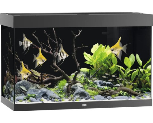 Aquarium juwel rio - rio, mit