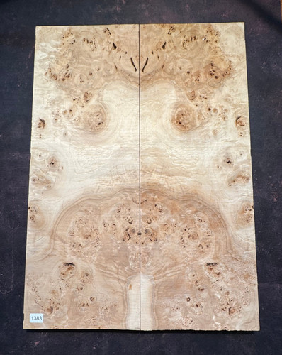 Pappelmaser tops poplar burl - |,