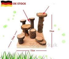Hamster Holzleiter Klettergerüst Goldener Bär Holzspielzeug Holz Molarenbedarf