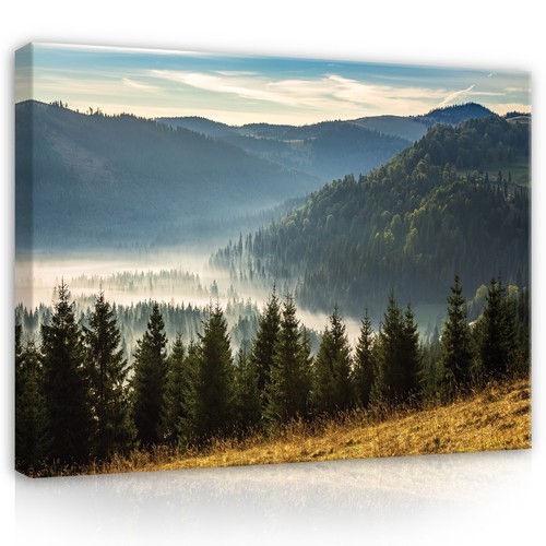 Wald berge natur - wald, leinwandbild