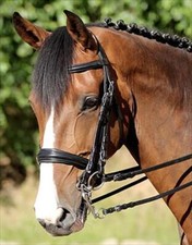 Euroriding Kandare Philadelphia - Natural Line