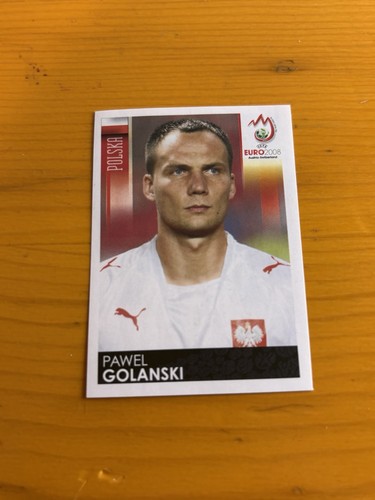 Panini euro 2008 - euro, 240