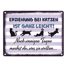 Erziehung bei Katzen ist ganz