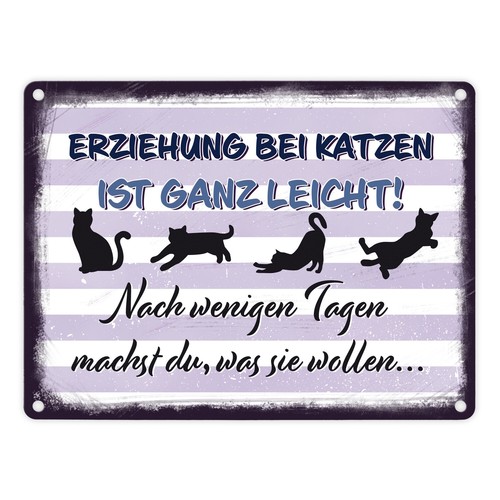 Erziehung bei katzen - erziehung, ist