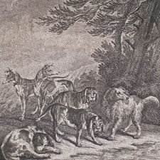 Johann Elias Ridinger