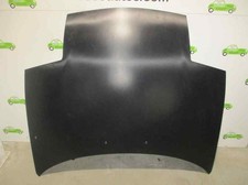 MOTORHAUBE / COLOR FIBRA DE