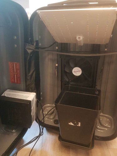 Bonsanto growbox größe - größe, m