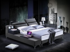 Design Doppelbett Lederbett