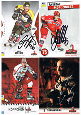 Eishockey Autogrammkarten Hannover Scorpions 1999-2012 fast alle signiert