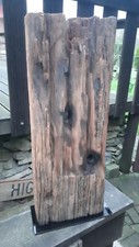 50cm altes baum stamm - altes,