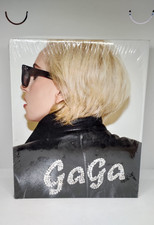 Buch Lady Gaga + Terry
