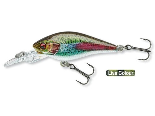 Daiwa prorex mini - mini, baby